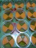 Puding klop mangga melon