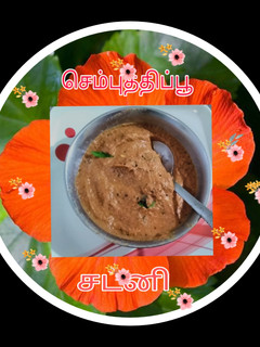 செம்பருத்தி பூ சட்னி (sembaruthi poo chutney recipe in tamil) செய்முறை முக்கிய புகைப்படம்