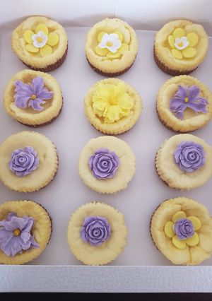 A picture of Mini Cheesecake's.