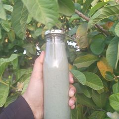 A picture of Wazoogles power protein smoothie.
