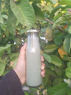A picture of Wazoogles power protein smoothie.