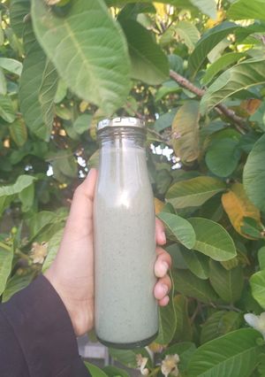 A picture of Wazoogles power protein smoothie.