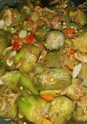 Foto resep Tumis Terong Ebi 🍤