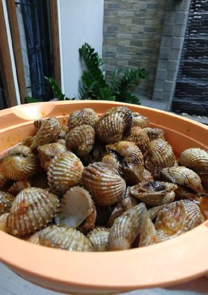 Foto resep Tumis kerang dara pedas