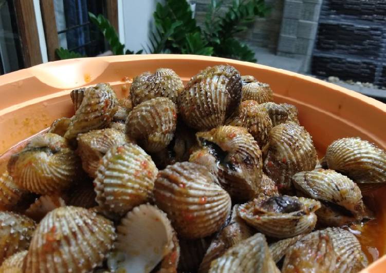 Tumis kerang dara pedas