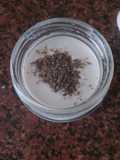 Yogur casero con yogurtera