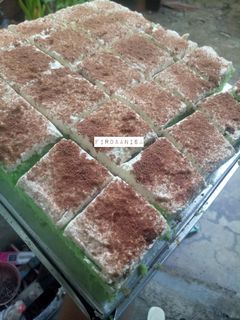 Foto resep Bolu potong pandan