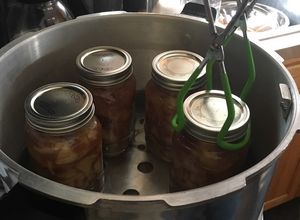 Una foto de Apple Compote/ Compota de manzana