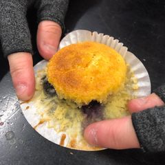 A picture of Blueberry Muffins.