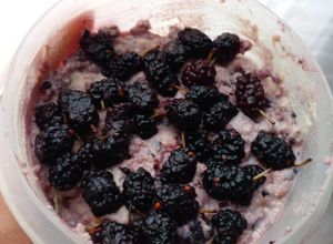 Una foto de Avena trasnochada al limón con mora - Blended overnight oats