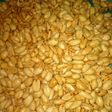Kacang bawang
