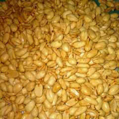 รูปของ Kacang bawang