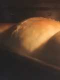 SHOKUPAN (Japanese soft toast)