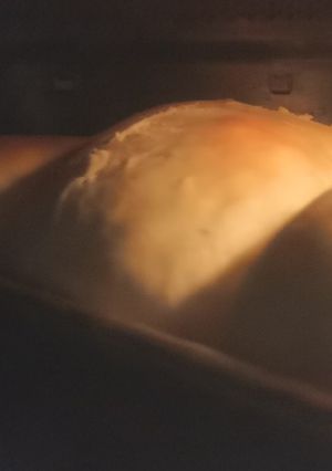 A picture of SHOKUPAN (Japanese soft toast).