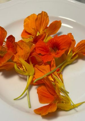 Foto di Fiori di nasturzio in pastella