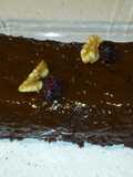 Tarta de chocolate y nueces, sin harina (microondas)