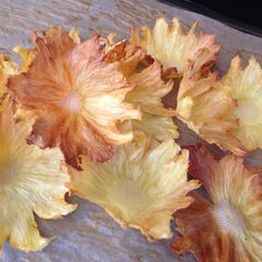 A picture of Pineapple Flowers.
