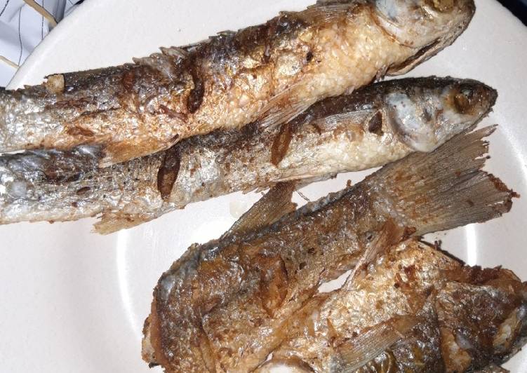 Resep Ikan Belanak Goreng yang Bikin Ngiler