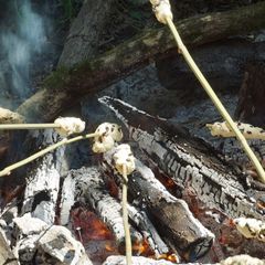 A picture of Bannocks - bread cooked over fire.