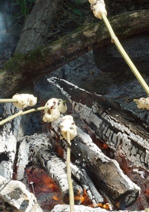 A picture of Bannocks - bread cooked over fire.