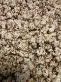 Cookies & Cream Popcorn
