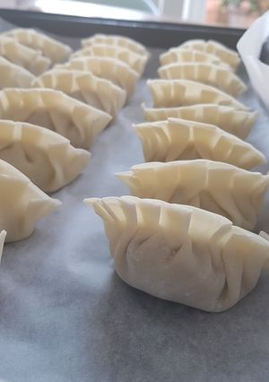 A picture of Gyoza.