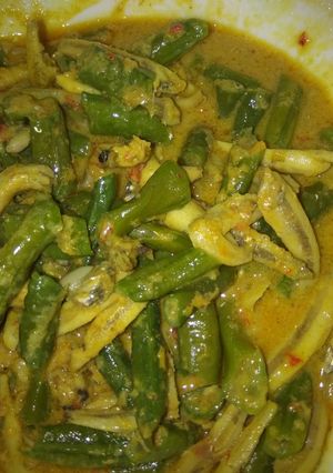 Foto resep Santan kacang panjang & teri 🐟