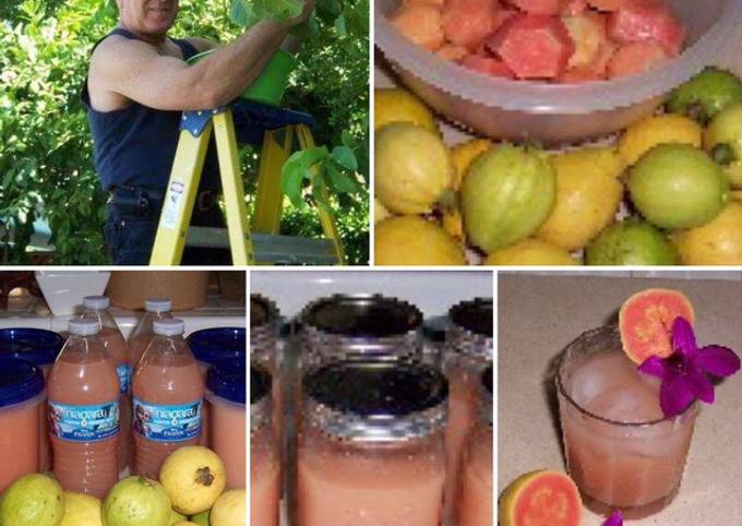 Steps to Make Homemade Guava juice Time for Diet Food