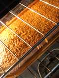 Pan de elote en licuadora