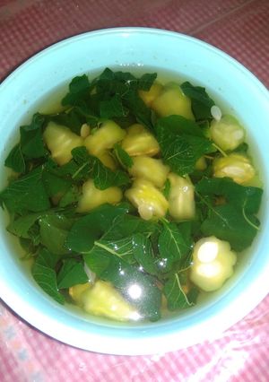 Foto resep Sayur bening bayam oyong