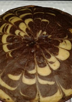 A picture of Zebra Cake.