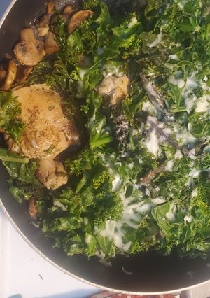 A picture of Chicken & Kale.