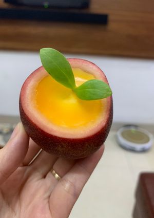 Hình của món Mousse chanh leo.