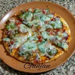 A picture of Vegi pizza.