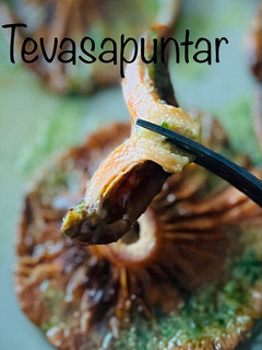 Una foto de Níscalos a la plancha con salsa Mery (Rebollóns)🍄 🍀 🍄 🍀