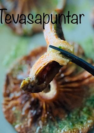 Una foto de Níscalos a la plancha con salsa Mery (Rebollóns)🍄 🍀 🍄 🍀