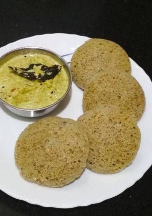 A picture of Moong Idli.