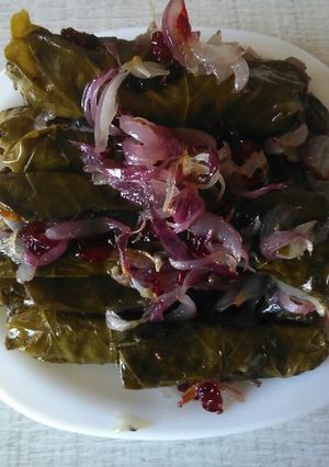 عکسی از دستور دلمه
