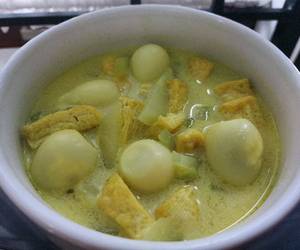 Resep Baru Lodeh labu siam, tahu, telur puyuh Praktis Enak