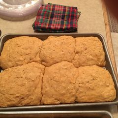 A picture of Jeremiah's Pizza-tastic Beer Biscuits.