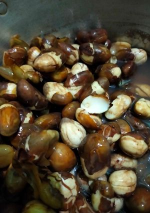 Foto resep Biji tiwadak / cempedak rebus #herlinwidodo