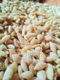 Pasta orzo o pepitas