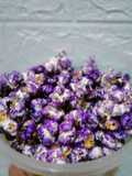 Popcorn Taro