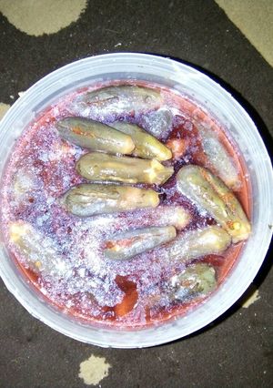 صورة لوصفة مخلل الباتنجان تحفه