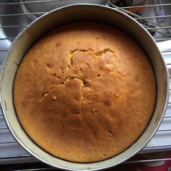 A picture of Plain cake.