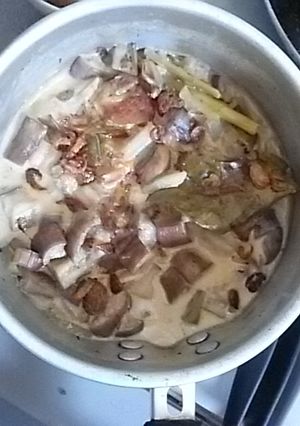 Foto resep Sayur lodeh bumbu iris