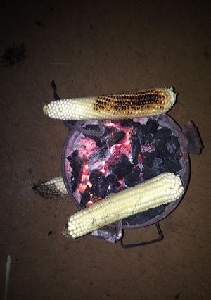 A picture of Roasted maize(mahindi Choma).