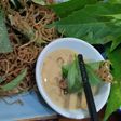 Nấm thính cuốn lá sung