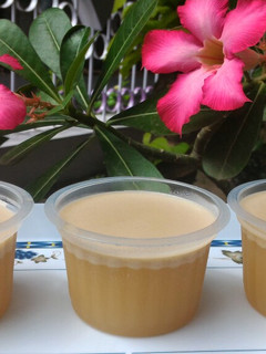 Foto resep Puding Gula Merah Santan