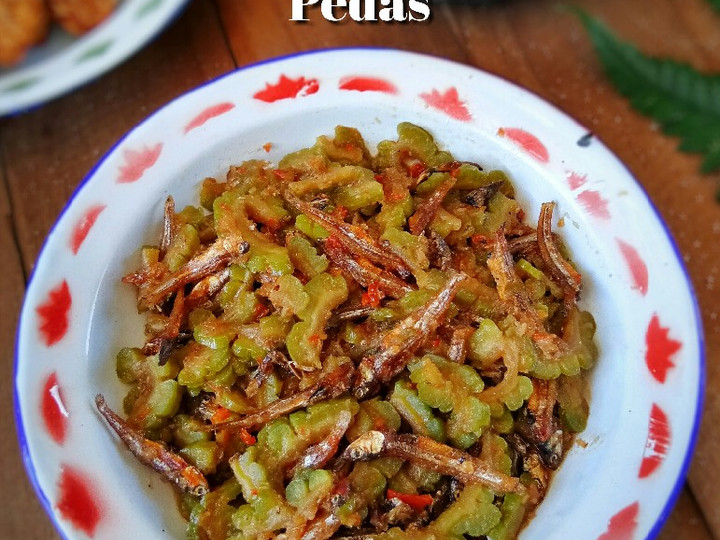 Resep Oseng Pare Teri Pedas yang Enak